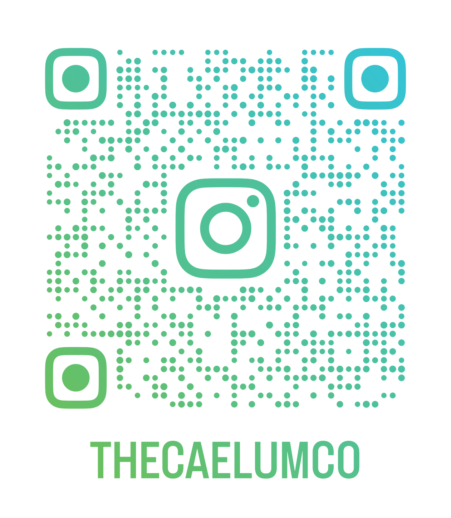 @thecaelumco Instagram Handle QR Code Designs